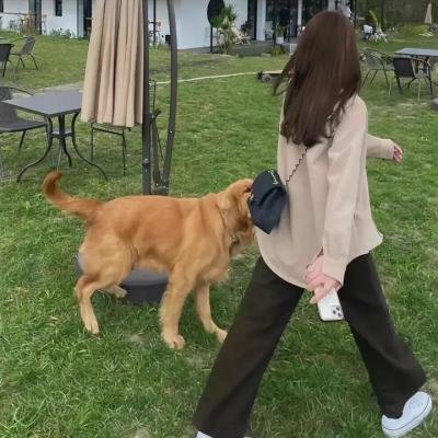 武训